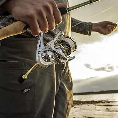 Spinning Reels